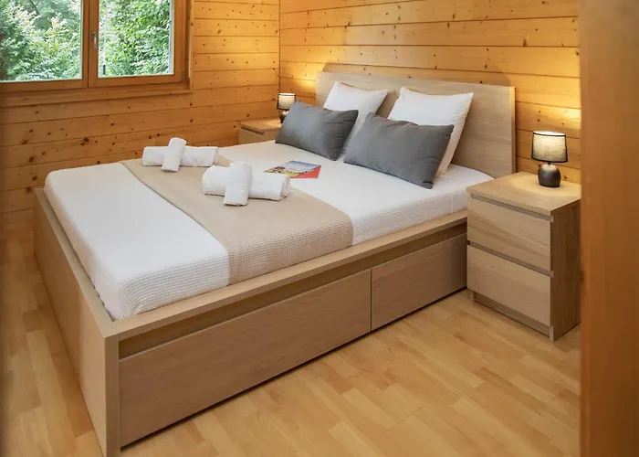 Bolettes By Interhome Lejlighed Ovronnaz